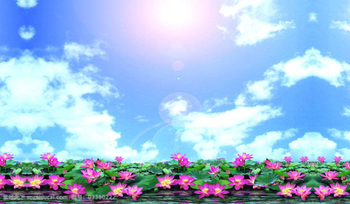 莲花 图 壁画 高清 水 蓝天白云 太阳 自然景观 自然风光 设计图库
