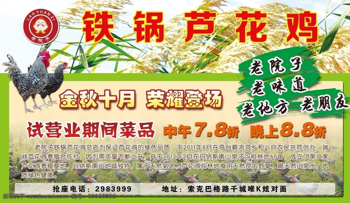 芦花 鸡 芦苇 试营业 芦花鸡 野生放养 psd源文件