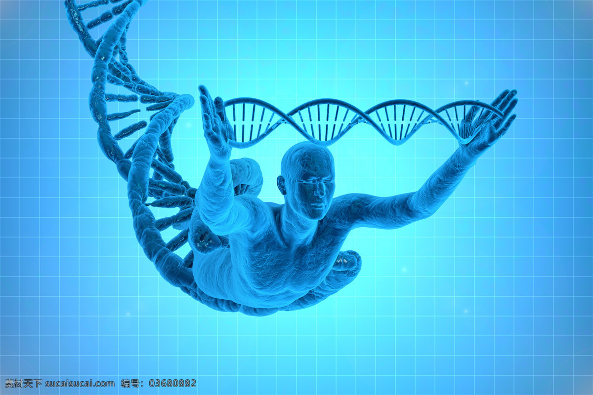 人体 模型 dna 结构图 蓝色背景 人体模型 双螺旋结构 医疗护理 现代科技