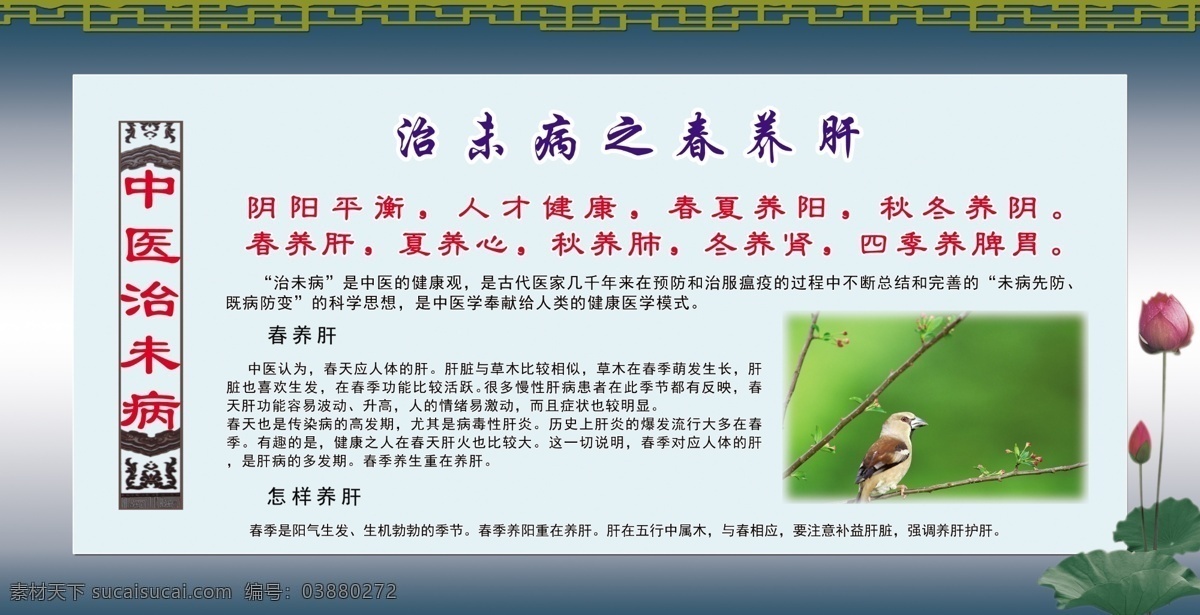 广告设计模板 写真 源文件 展板 展板模板 治未病 中医 春季 养 肝 模板下载 春季养肝展板 春养肝 阴阳调和 psd源文件