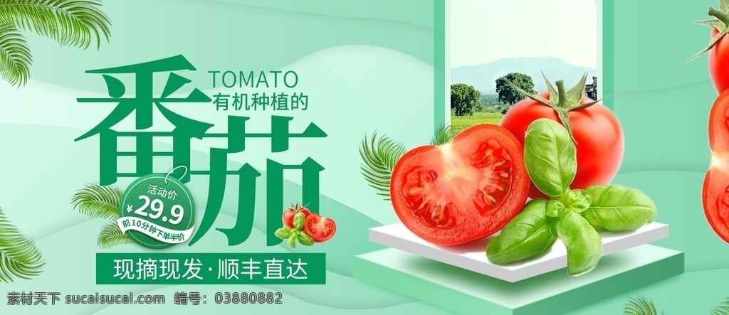 水果 水果海报 水果素材 蔬菜水果 蔬菜素材 新鲜水海报 绿色实物海报 蔬果海报 蔬菜 绿色水果 水果店海报 水果农场 有机水果 新鲜水果 水果零售 绿色素材 蔬菜店海报 生鲜美味水果 水果食材 分层