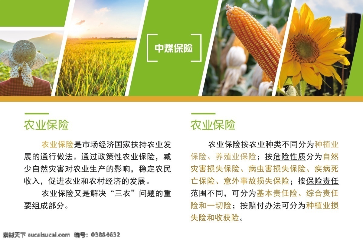 农业保险彩页 三农 农业保险 种植业保险 养殖业保险 中煤农业保险 分层