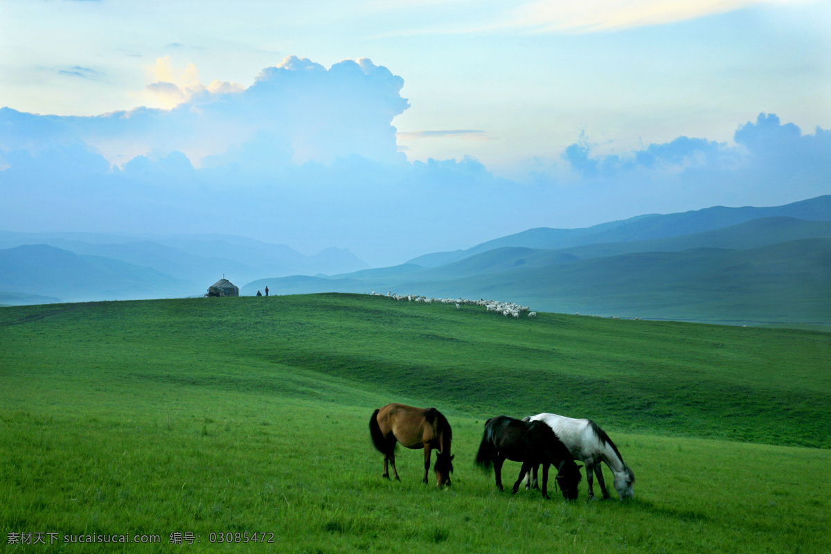 蒙古草原 大草原 牛 马 内蒙草原 蓝天 白云 草地 绿 自然景观 自然风景