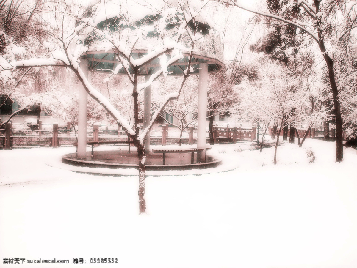 校园 雪景 大雪纷飞 小河亭子 风景 生活 旅游餐饮