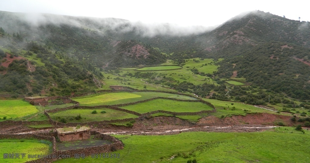 西藏风景图 西藏 风景 旅游 雨后风景 清新 稻田 旅游摄影 国内旅游