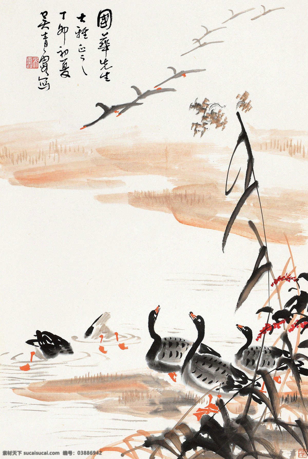 芦雁 国画 吴青霞 芦苇 大雁 鸿雁 池塘 水边 吉祥 写意 水墨画 中国画 绘画书法 文化艺术 国画吴青霞