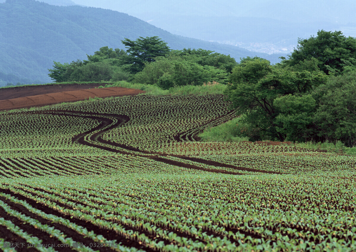 农田 土地 耕地 田园风光 乡村风光 乡村 农村 自然景观