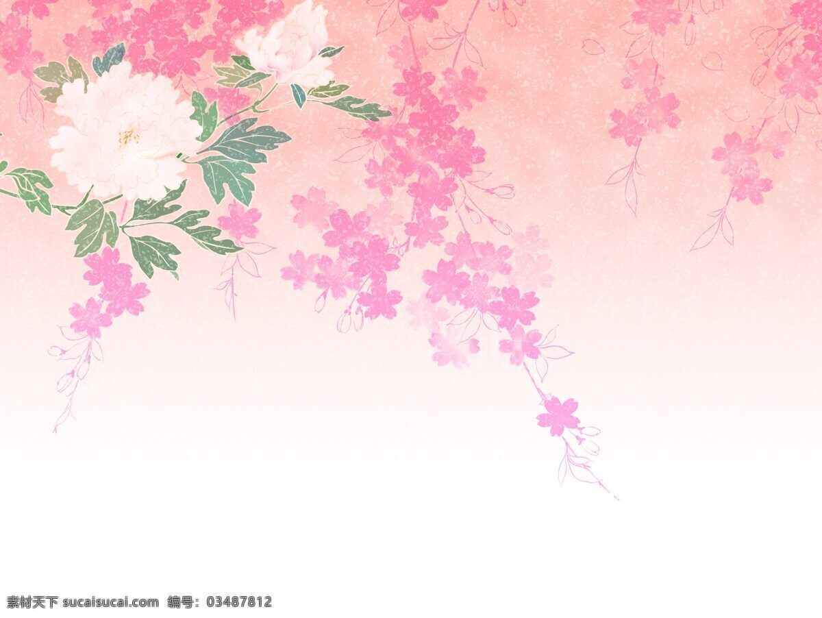 粉色 花朵 背景 图 粉色图片 浪漫