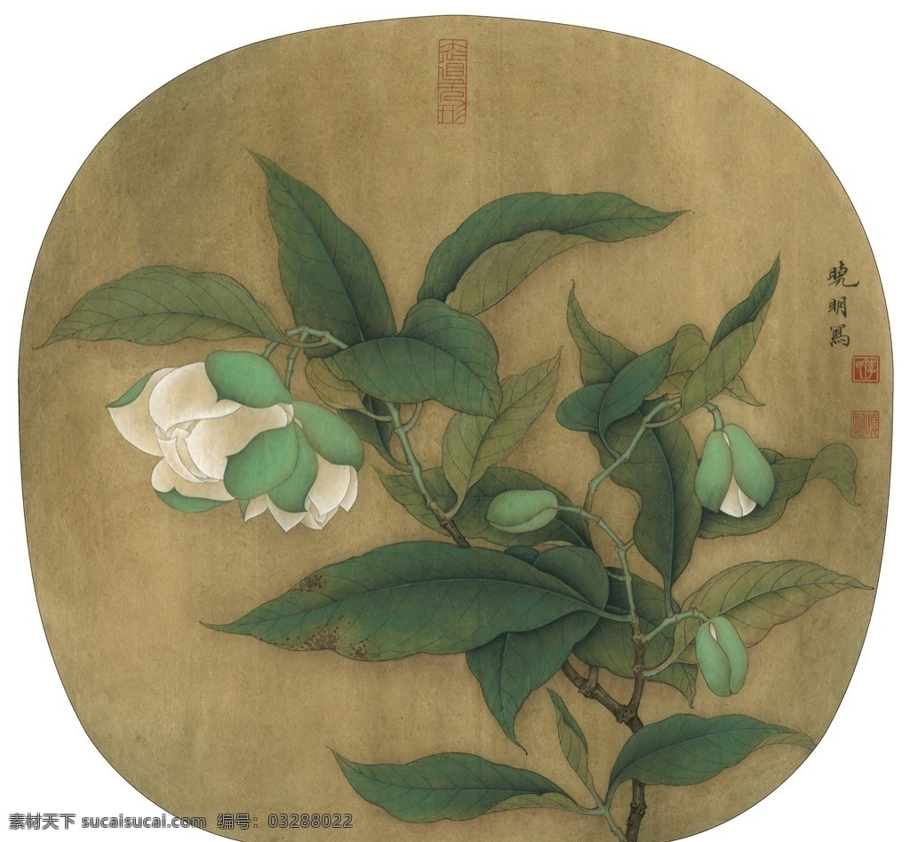 古风 类 花鸟 工笔画 宋 夜 合花 图 古风类 绘画艺术 传世名画 工笔 绘画 书法 文化艺术 绘画书法
