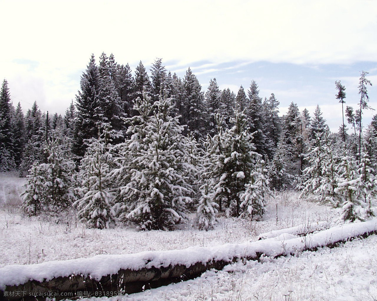 冰雪世界 自然风景 贴图素材 jpg0295 设计素材 自然风光 建筑装饰 白色