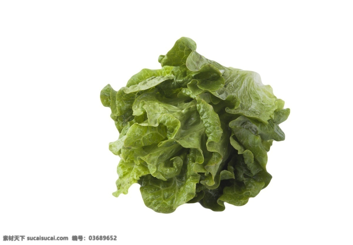 玻璃 生菜 好吃 美味 香港 软 尾 种子 脆 嫩 无 纤维 火锅菜 种植生菜种子 纯天然 无公害