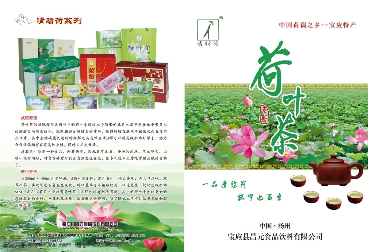 荷叶 茶 画册 封面 梢恫杌岱饷 其他画册封面
