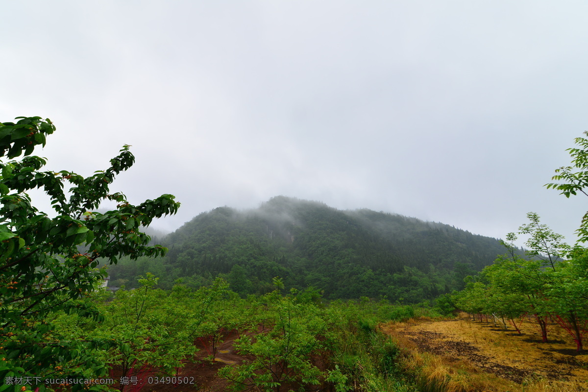 山田风光 山间 山雾 田园 菜园 旅游摄影 自然风景