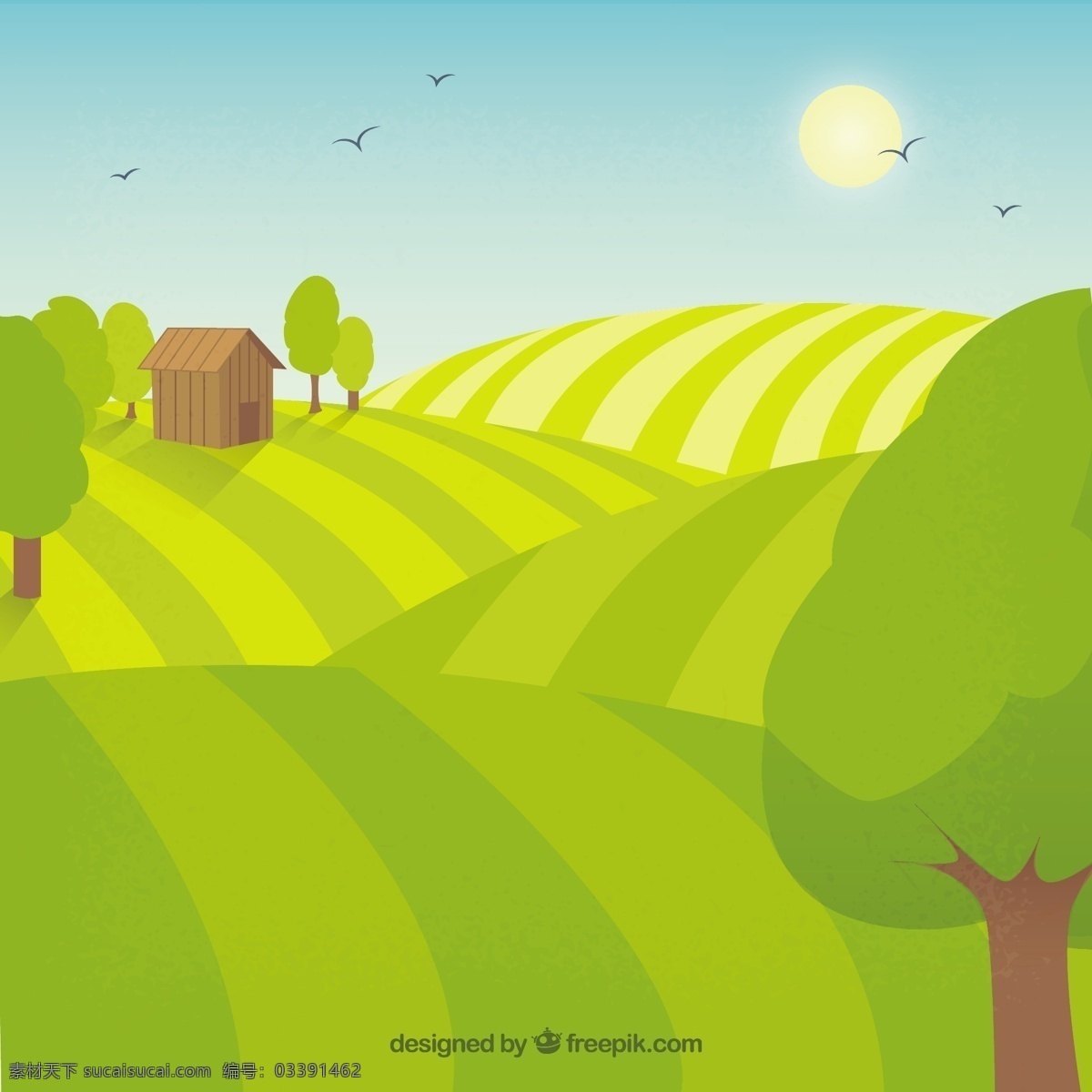 农村小农场 鸟 自然 农场 景观 蔬菜 生态 有机 环境 发展 土地 生态友好 农业 农村 可持续 友好 小 植被 黄色