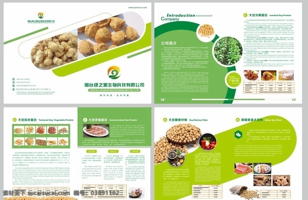 大豆蛋白 介绍 册山 东 绿 之源 log 山东绿之源 logo 画册 豆制品 分离蛋白 拉丝蛋白