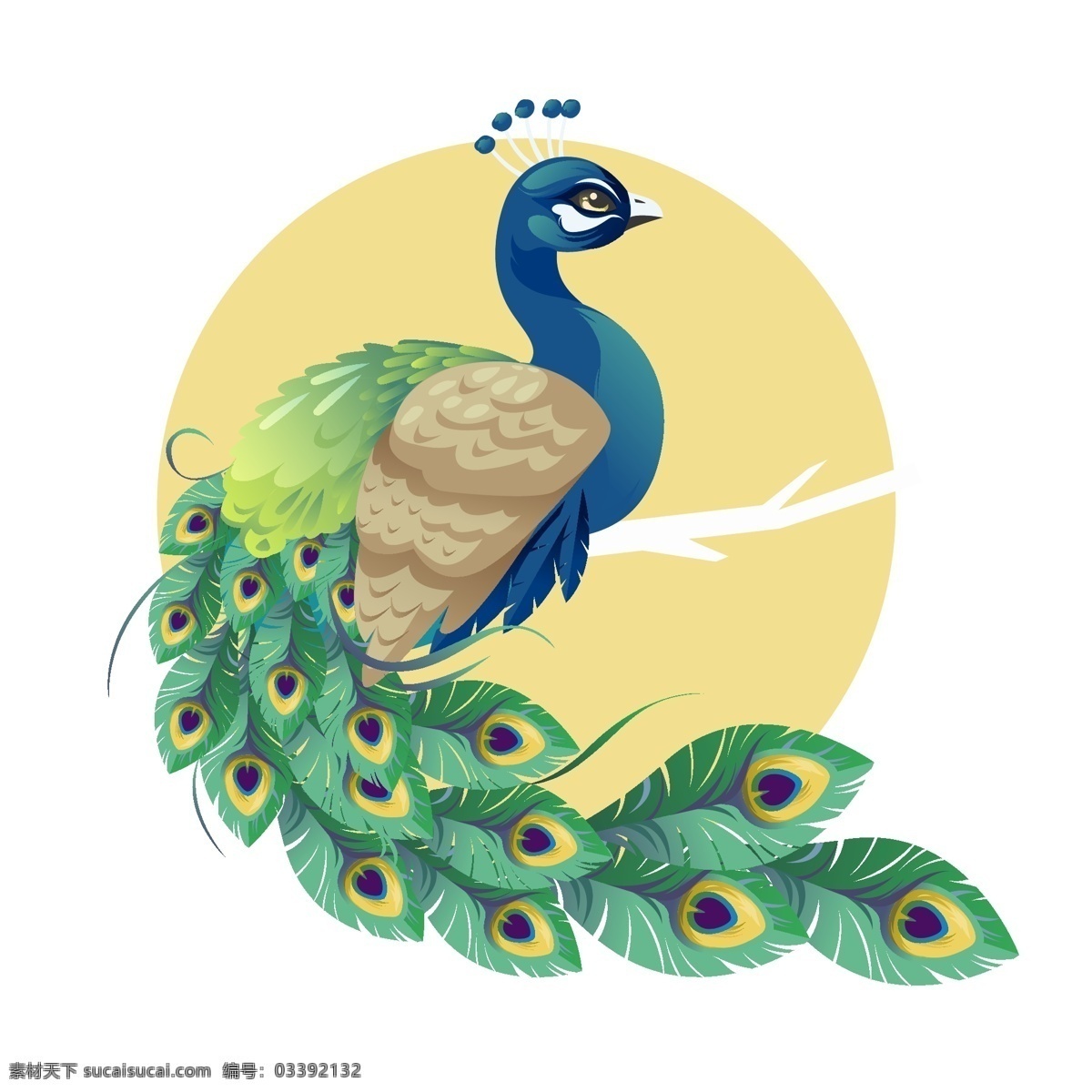 孔雀图片 孔雀 孔雀开屏 孔雀毛 羽毛 开屏 蓝孔雀 绿孔雀 刚果孔雀 白孔雀 孔雀素材 孔雀设计 孔雀壁纸 孔雀摄影 孔雀高清 水彩图案 孔雀拍摄 孔雀园 孔雀世界 孔雀生活 孔雀矢量图 鸟 鸟类 大鸟 大鸡 鸡雉 唯美 动物 野生动物 矢量图