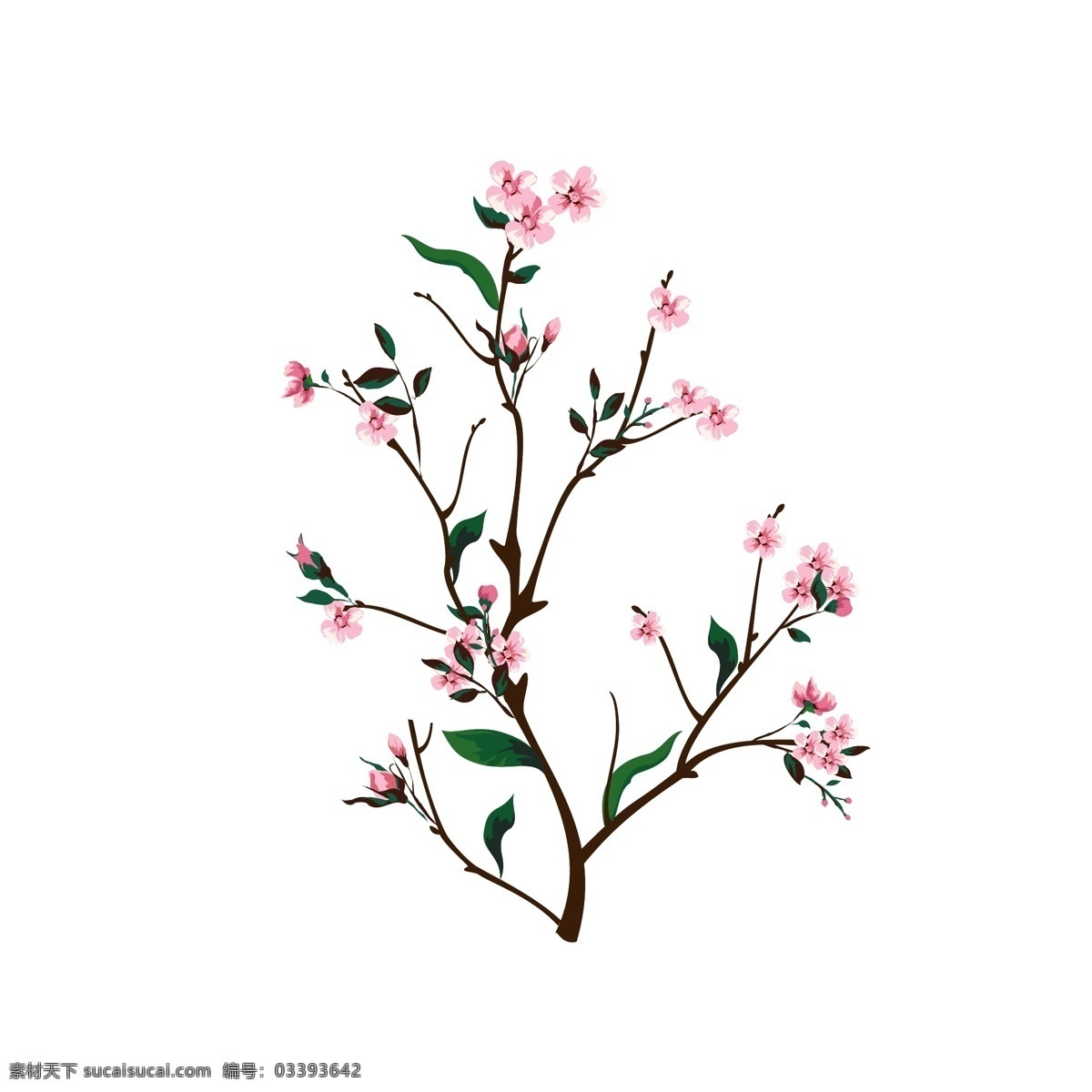 手绘 写实 风 装饰 春天 桃花 花卉 花朵 树枝 手绘风