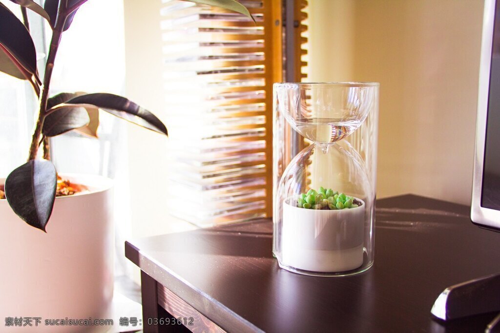 摆放 装饰 桌面 绿色 盆栽 方便 容器 生命 植物