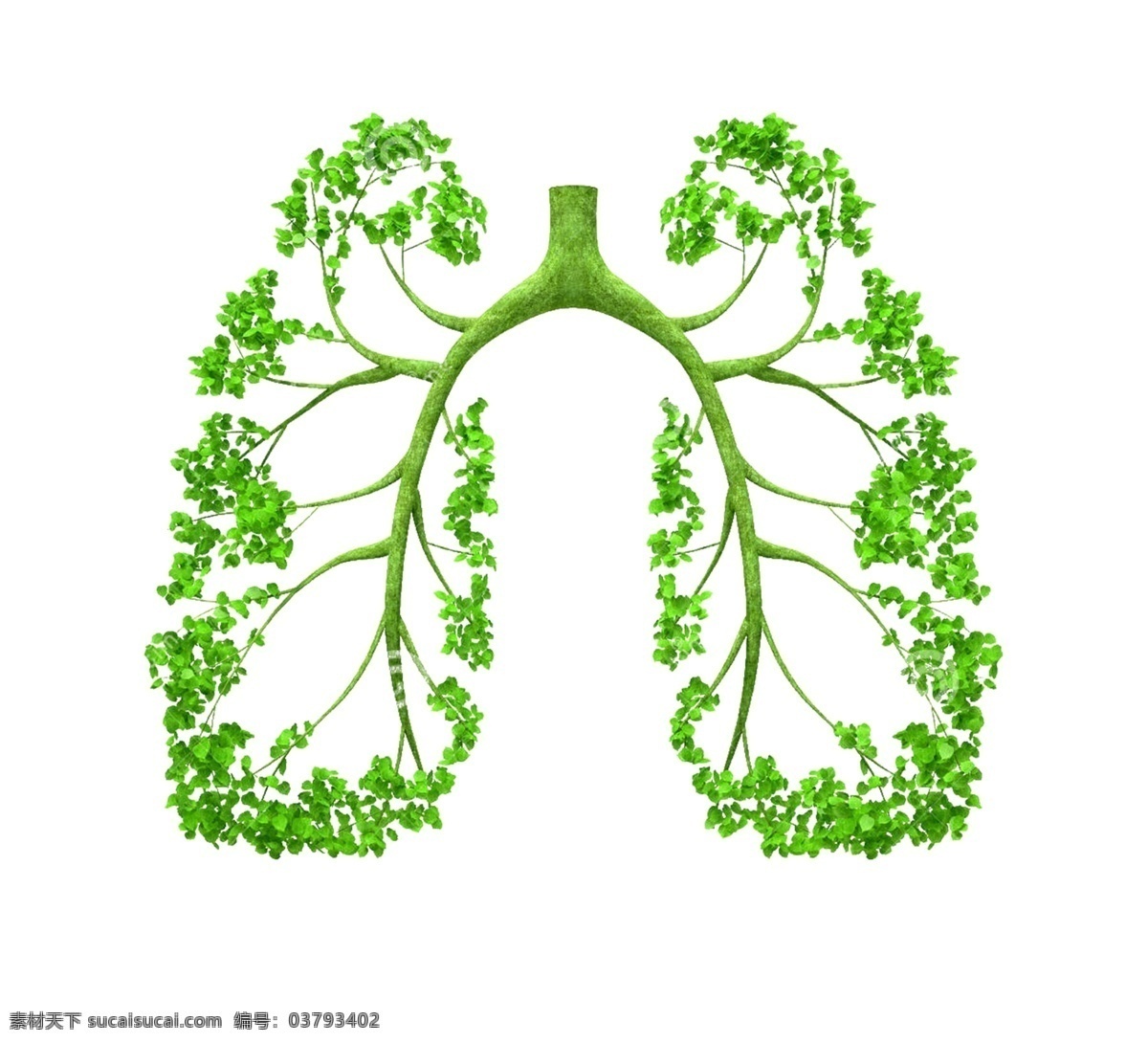 绿色环保 树叶 树 肺 装饰 图案 创意设计 元素 绿色 环保 广告 商业