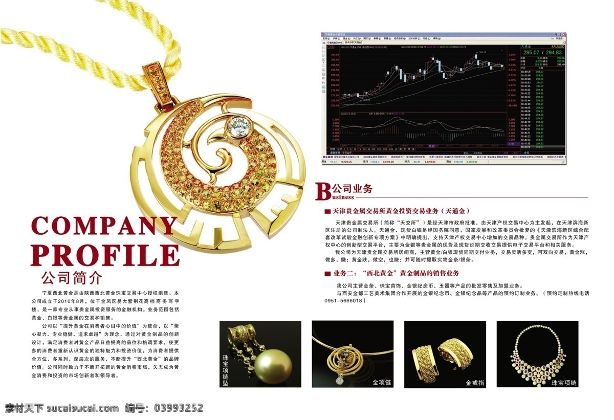 黄金珠宝 画册 广告设计模板 画册设计 源文件 钻石 黄金珠宝画册 宝 其他画册封面