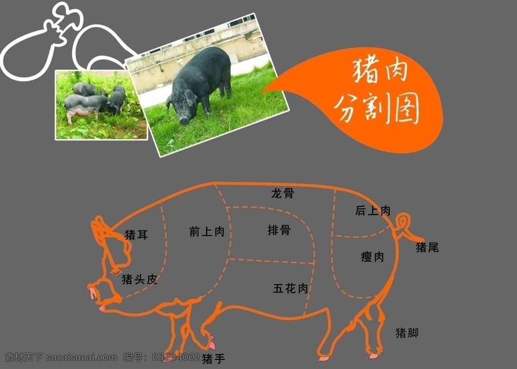 猪肉分割图 猪 猪肉 分割 底纹 超市 生鲜