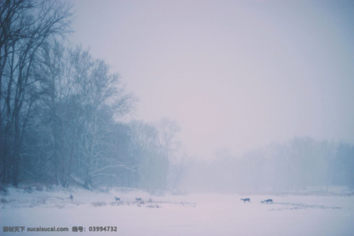 风景 风光 旅行 自然 吉林 长白山 雪山 冰天雪地 银装素裹 山 旅游摄影 国内旅游