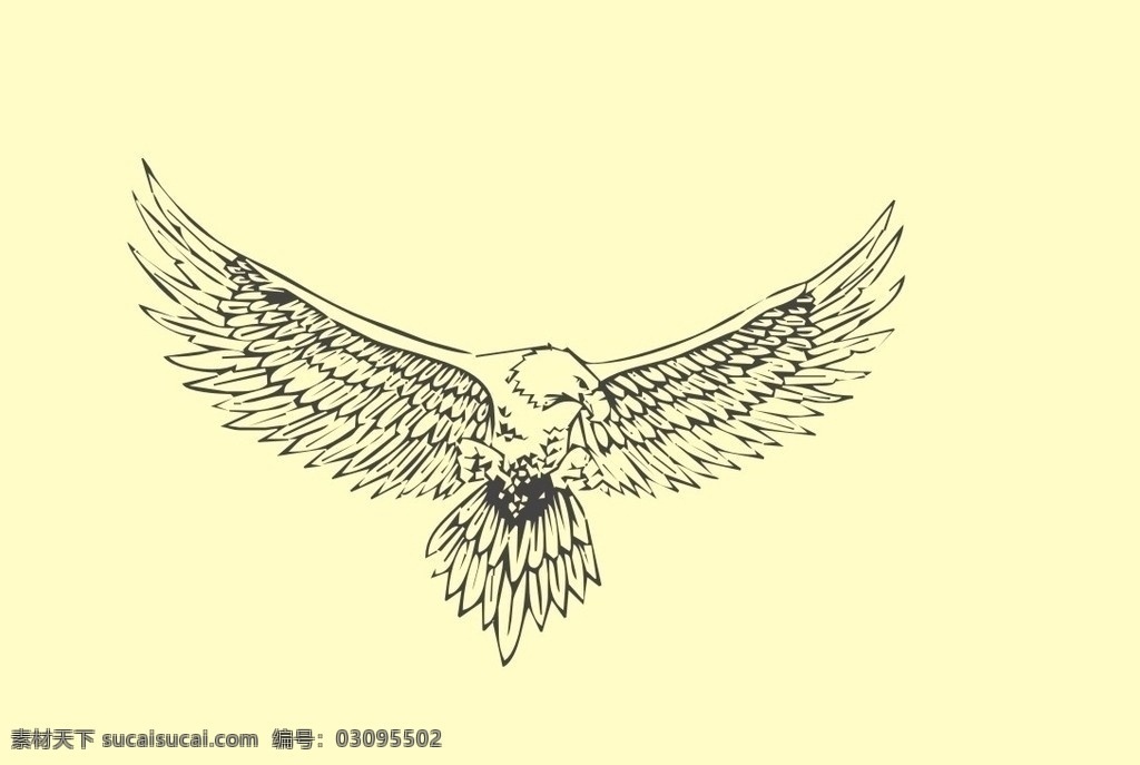 白描鹰 白描图 鹰 动物 鸟 白描鸟 生物世界 鸟类 矢量