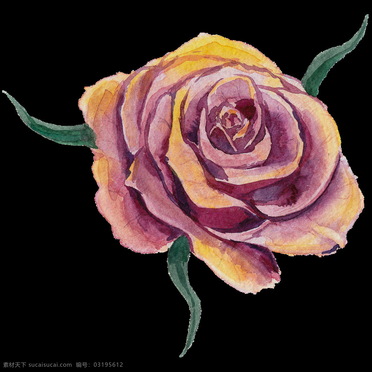 紫 黄色 花朵 水彩 透明 手绘 透明素材 免扣素材 装饰图案