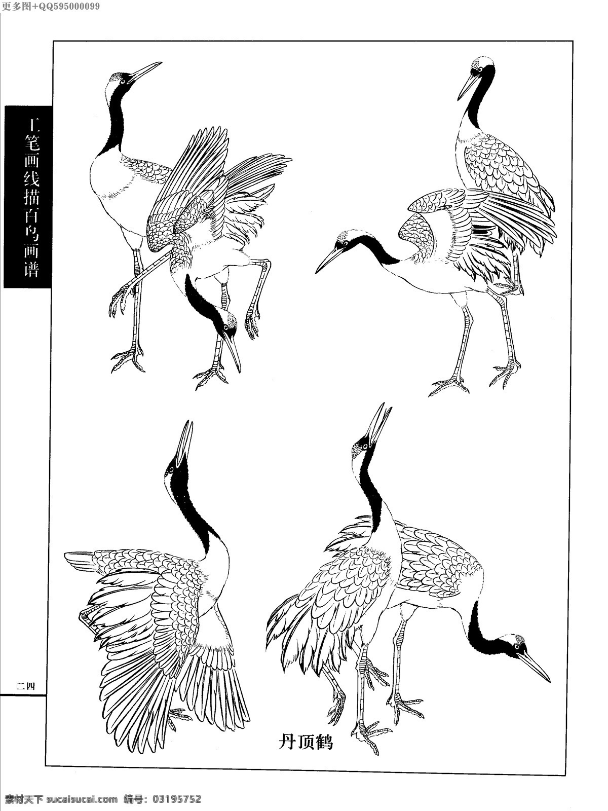 工笔画 线描 山水 画谱 水禽 白描 黑白稿 手绘 线描鸟 绘画 鸟 鹤 白描鸟 手绘鸟 家禽 鸭 鹅 鸳鸯 丹顶鹤 百鸟 水禽篇 绘画书法 文化艺术