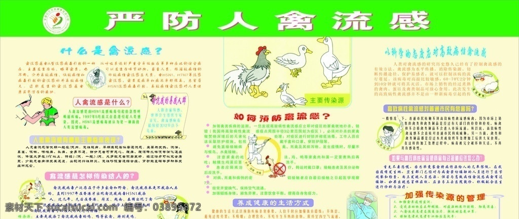 禽流感 预防知识 宣传栏 严防人禽流感 矢量
