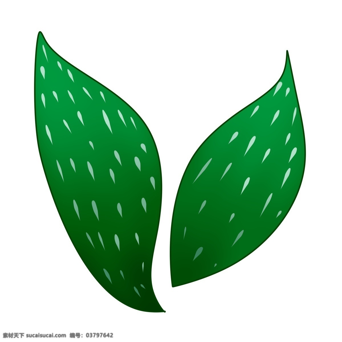 春季叶子插画 绿色 植物 创意