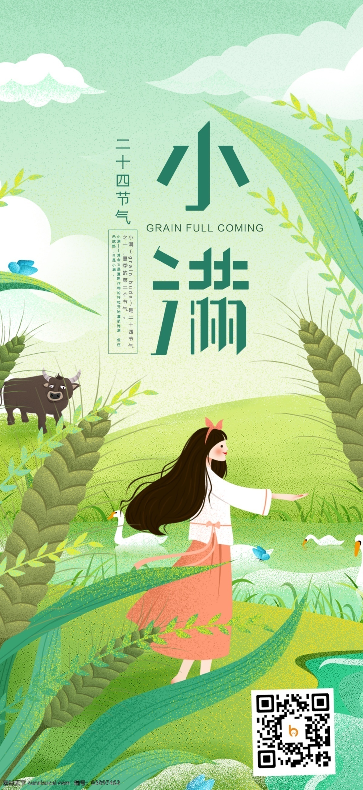 小满 仲夏 立夏 二十四节气 小麦 麦田