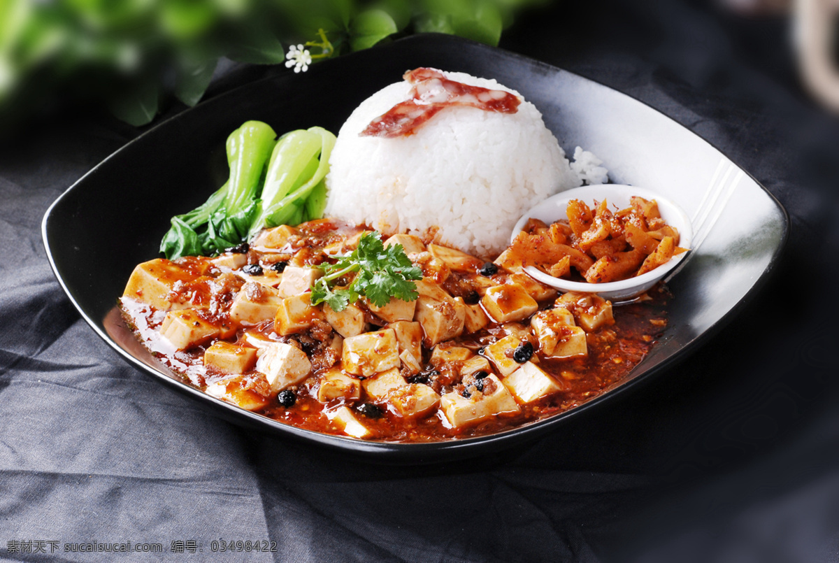 麻婆豆腐饭 美食 传统美食 餐饮美食 高清菜谱用图