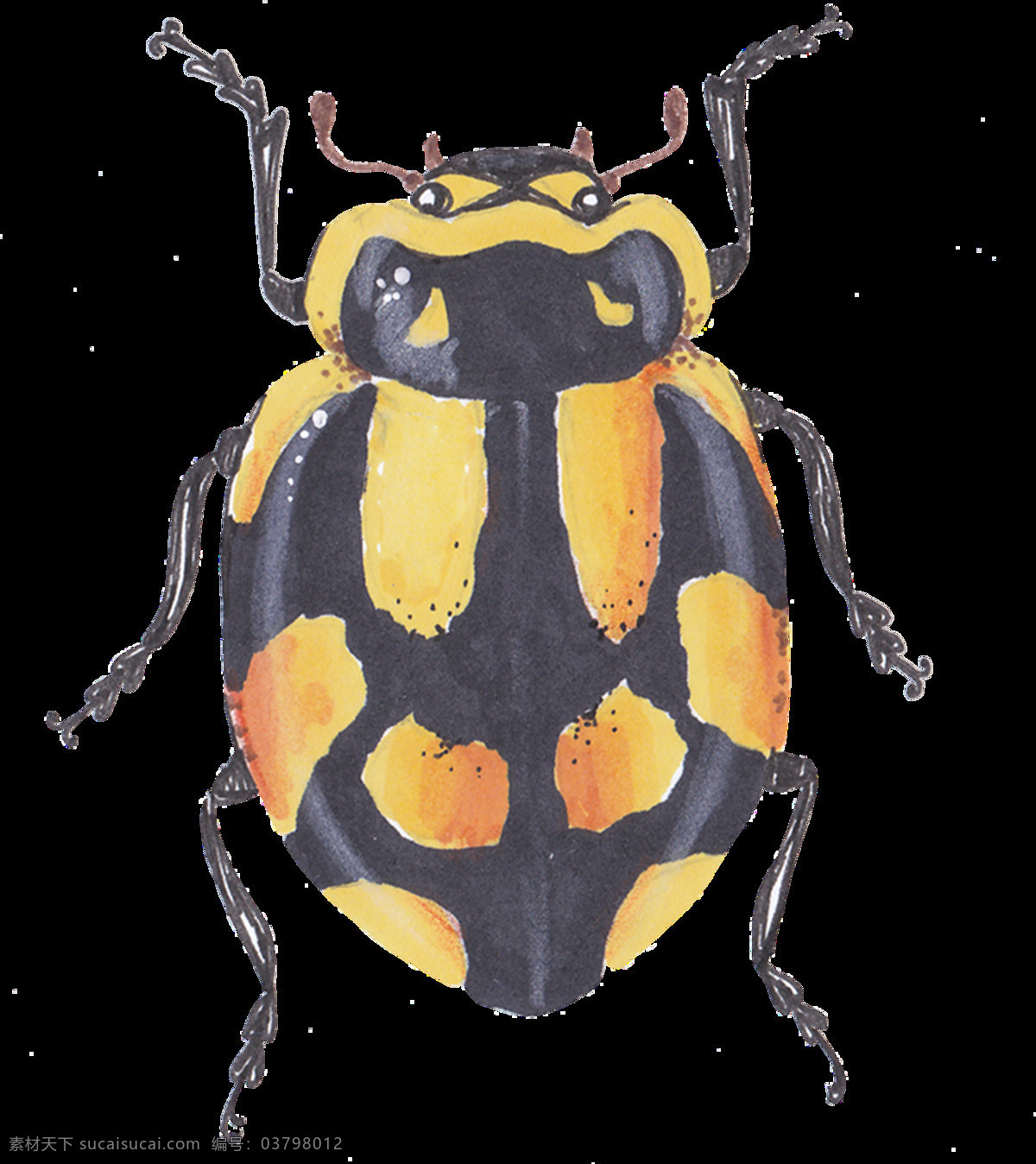 手绘 黄 黑色 昆虫 透明 六只脚 橙色 黄色 眼睛 触角 水彩 透明素材 免扣素材 装饰图片