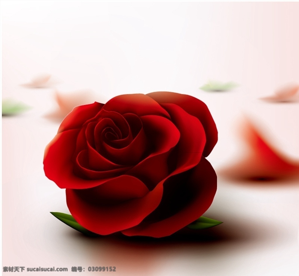 质感 红玫瑰 花 花瓣 玫瑰花 情人节 植物 矢量 高清图片