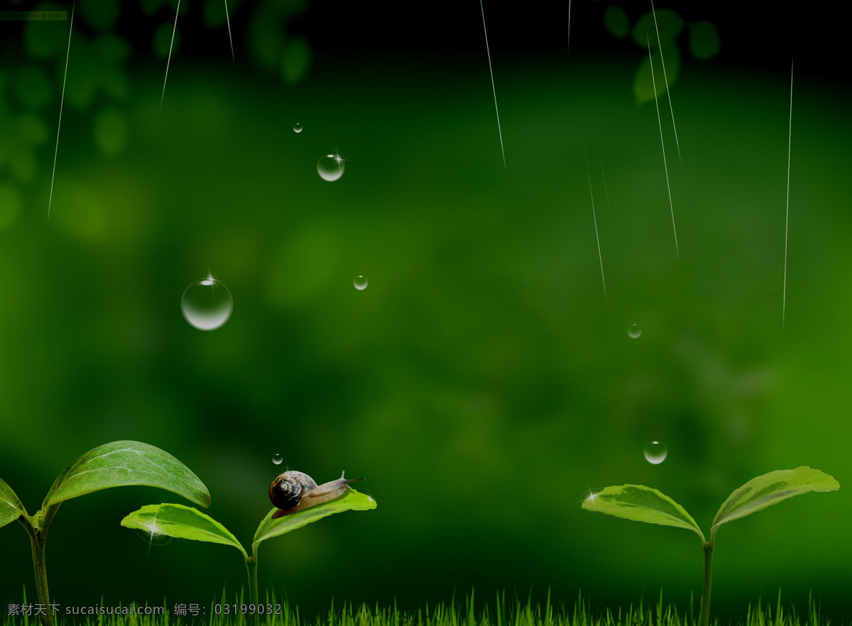 雨 中 草地 蜗牛 春天 大自然 高清图片下载 露水 绿叶 水珠 图片大全 小草 叶子 雨滴 风景 生活 旅游餐饮