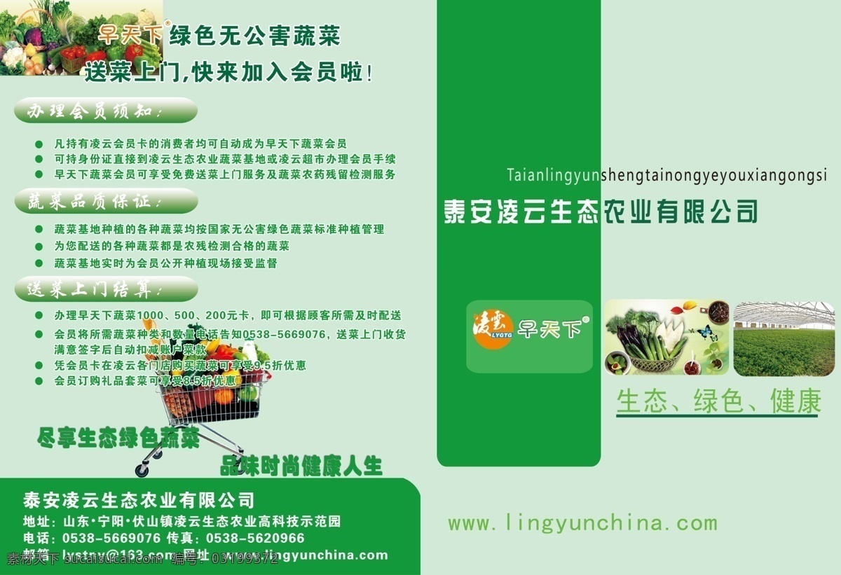 蔬菜 彩页 dm宣传单 大方 高档 广告设计模板 水果 小推车 效果图 蔬菜彩页 源文件 海报 宣传海报 宣传单 dm