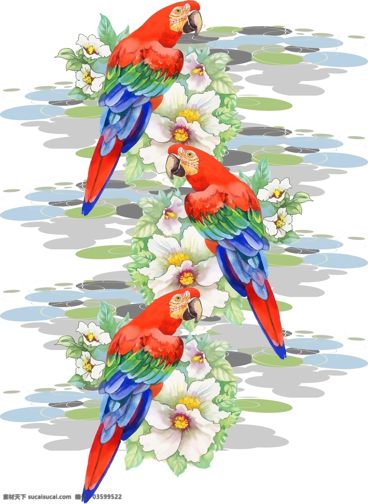花朵与鹦鹉 花朵 鹦鹉 矢量图案 t恤图案 服装设计 面料印花