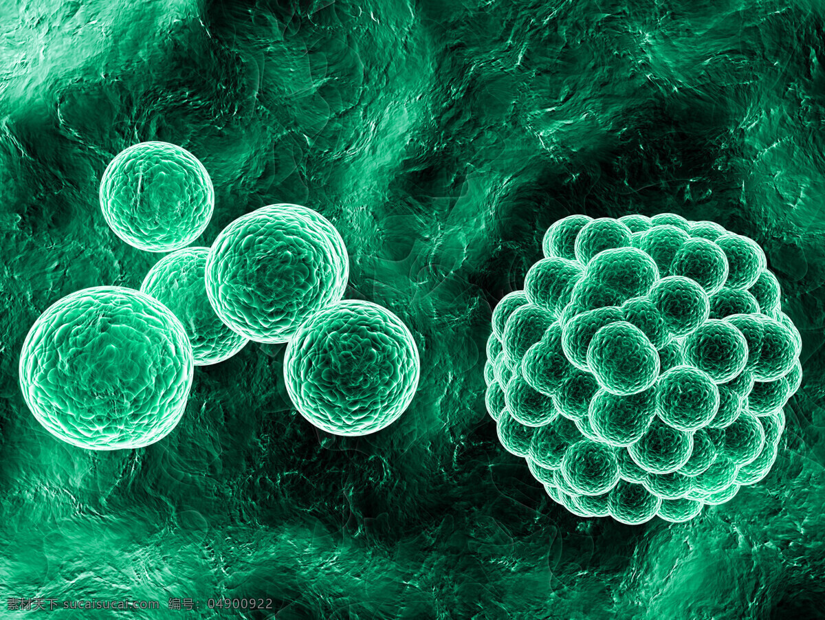 绿色 磨 菇 状 微生物 显微镜 细菌 病毒 细胞 人生组织 科学 实验 医疗护理 现代科技