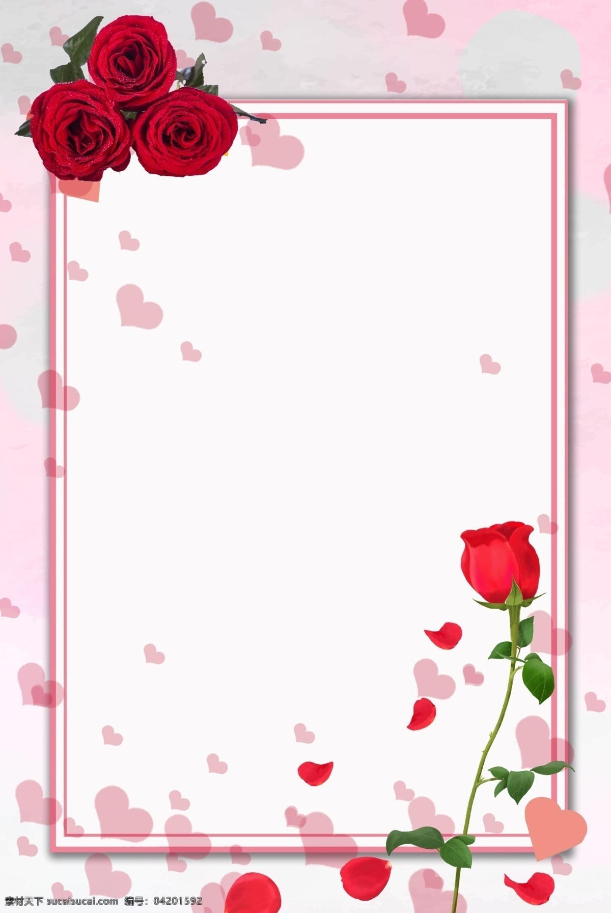 粉色 玫瑰 花朵 背景 唯美 七夕 情人节 礼物 爱情 爱 情侣 节日 传统