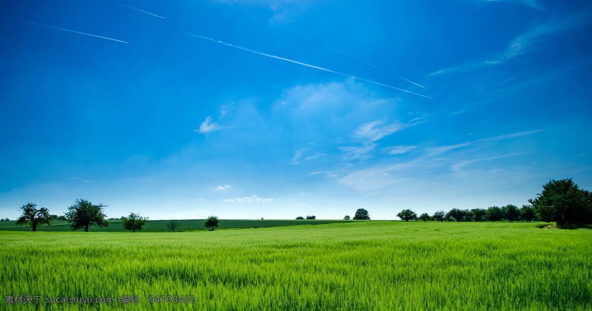 绿地 草地 草 天空 蓝天 风景 美景 自然景观 自然风景