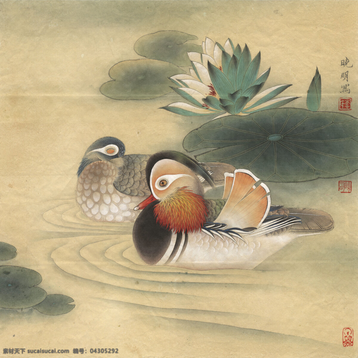 李晓明 工笔 荷花 高清 图 工笔画 字画 国画 走廊挂画 客厅挂画 教室挂画 花鸟画 工笔花鸟 工笔国画 工笔荷花 工笔画欣赏 工笔画素材 文化艺术 绘画书法 高清工笔画 风景