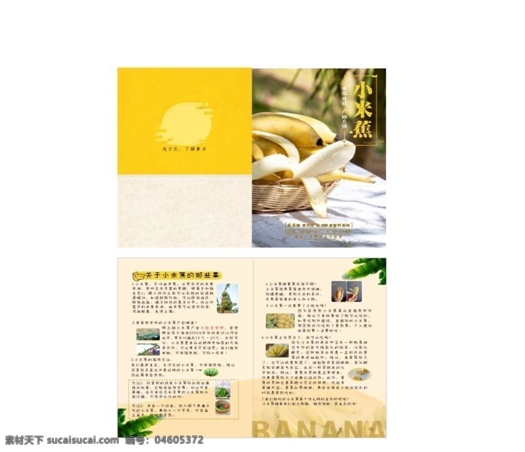 香蕉 二 折页 小米蕉 水果 二折页 单页 小清新 黄色