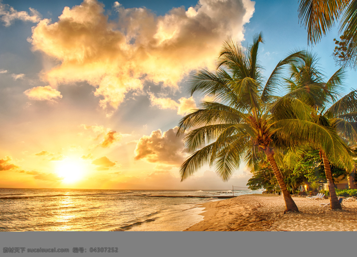 海边 日出 椰子树 树木 沙滩 海滩 海水 天空 云彩 唯美日出 海边风景 自然风景 自然景观