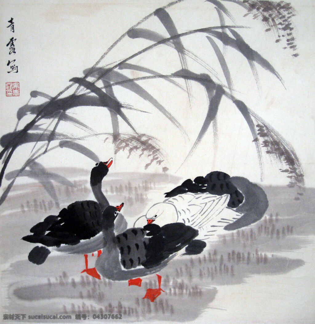 野生鸭 鸭 野生 国画 民间画 鸭画 绘画书法 文化艺术