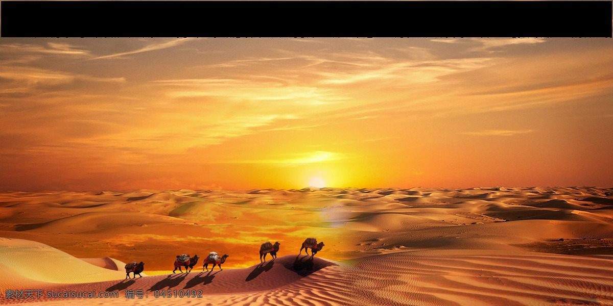 戈壁 沙漠 骆驼 元素