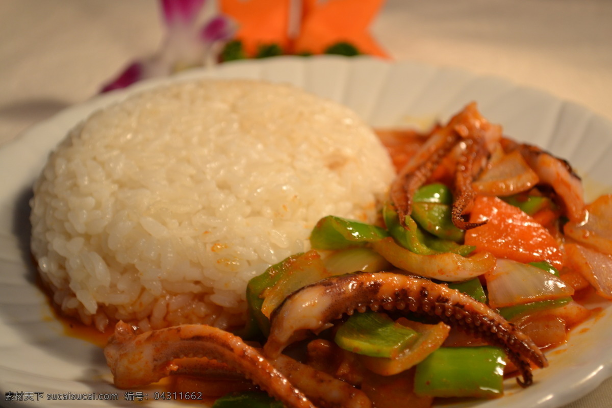 鱿鱼盖饭 舌尖上的美食 中国特色食品 美食 特色菜 甜品 餐饮美食 传统美食