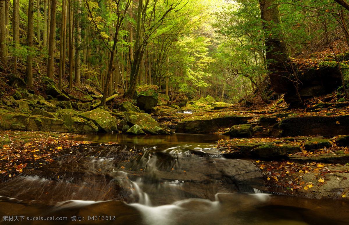 秋季 森林 瀑布 山石 河流 河水 石头 石 树林 树木 灌木 自然风景 大自然 秋季风景 秋天风景 自然景观