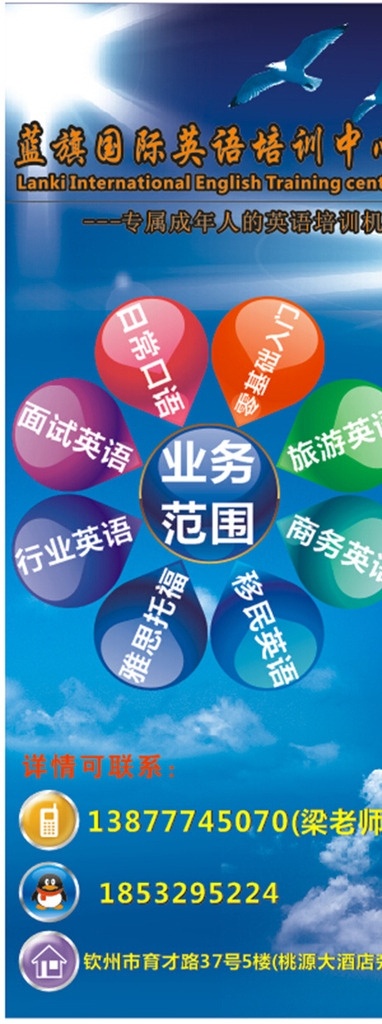 蓝旗英语培训 蓝旗 英语 培训 易拉宝 成人英语 展架 展板模板