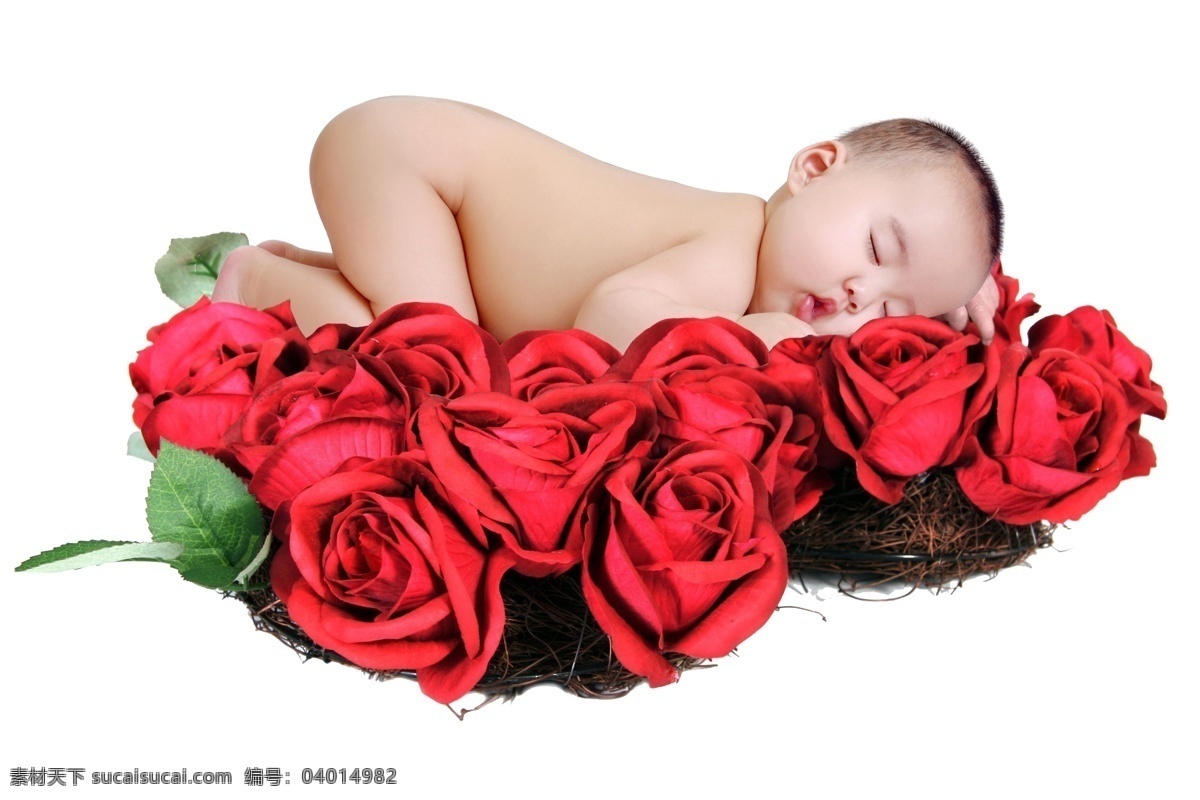 分层 玫瑰花 睡觉 婴儿 源文件 睡 上 扣 好 模板下载 睡觉的婴儿 趴 psd源文件